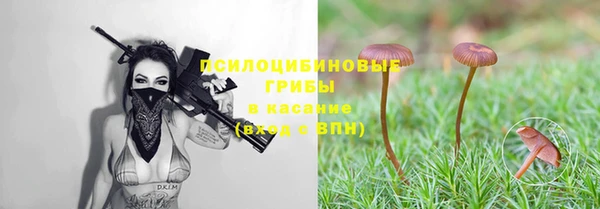 хмурый Абаза